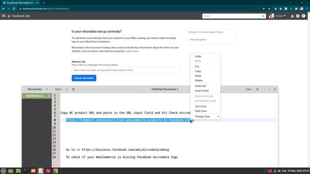 Check for Facebook Microdata Tags for WooCommerce | Tags to Auto Sync Products to FB Shop смотреть онлайн