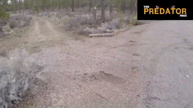 ON ASSIGNMENT FOR HUNTING MAGAZINE! смотреть онлайн