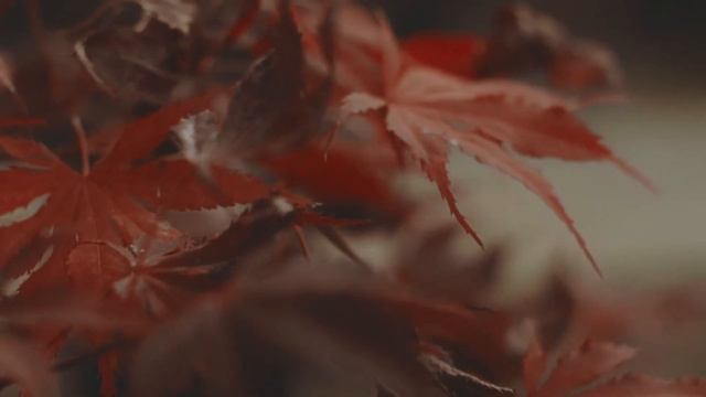 Музыка 2021 Популярная музыка для детей, бега, релакса, тренировок, успокаивающая, для сна новинка