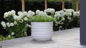 Красивые дворы частных домов. Лучшие идеи дизайна