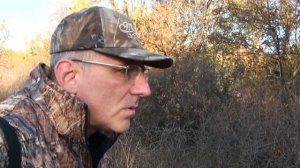 Выманивание фазана двумя видами звуков тока