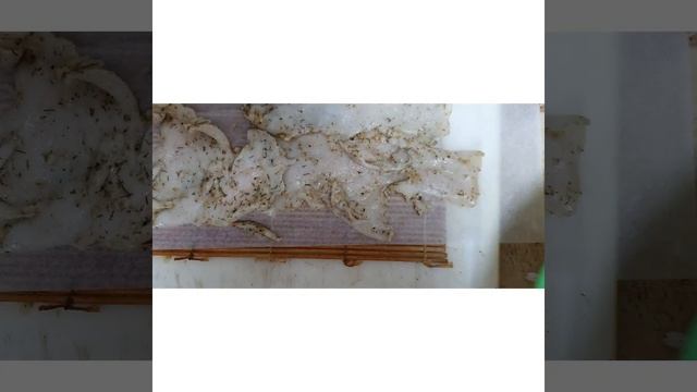 Наука и Открытия в Мире Технологий