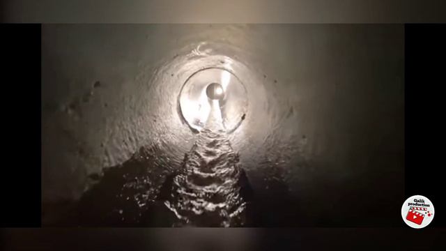 Сусанин залез в глушитель #суперсус, #автоприколы