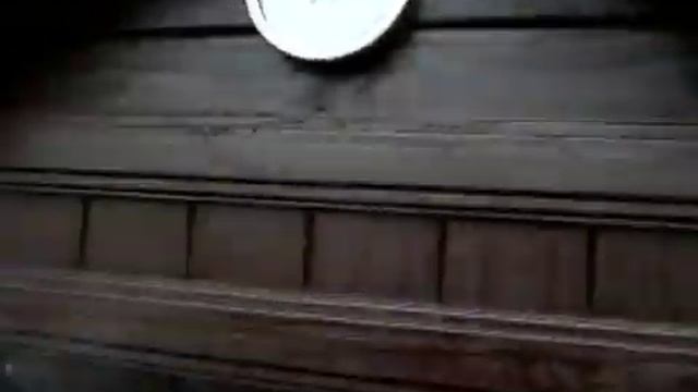 коптим рыбу, курицу и делаем салат смотреть онлайн