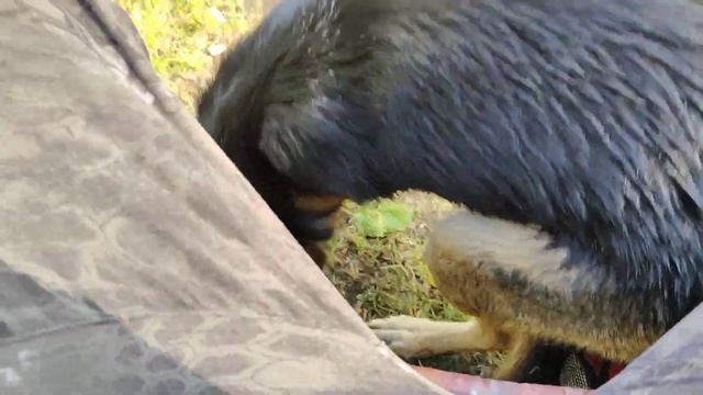 Рыбалка на кружки 2022. Екатеринбург.Рыбачу на все. смотреть онлайн