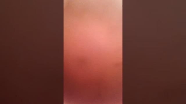 Инкубация куриного яйца.Зародыш 5 -й день.Овоскопия. смотреть онлайн