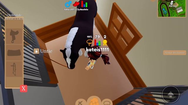 Мы создали конный клуб! Roblox смотреть онлайн