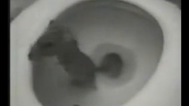 Смотреть Мышь везде пролезет онлайн смотреть онлайн