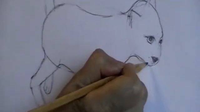 Эглитис Л.П. ИЗО. Занятие №1 смотреть онлайн