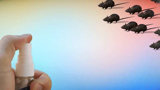 This Simple Substance Gets Rid of MICE & RATS in SECONDS смотреть онлайн