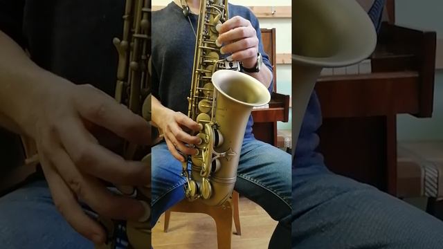 Аlto Sax P. Mauriat 180 смотреть онлайн