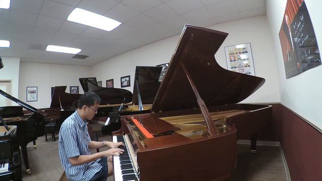 Rachmaninoff Prelude OP 23 no 4, Steinway D #355470 смотреть онлайн