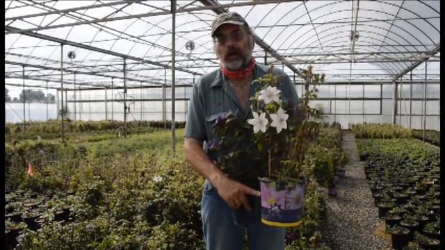 9 1 20 Jeff Lee  Chief Of Growing Operations Avon: Exciting Plant Updates.