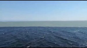 Два моря которые встречаются но не смешиваются (видеокадры)