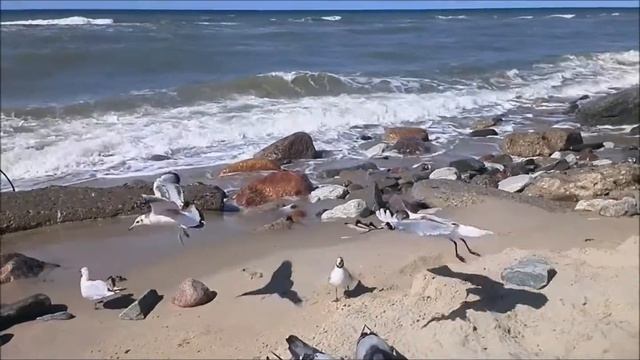 Калининград смотреть онлайн