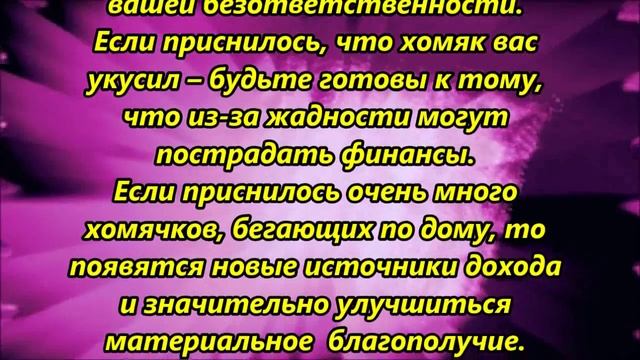 К чему снятся хомяки смотреть онлайн