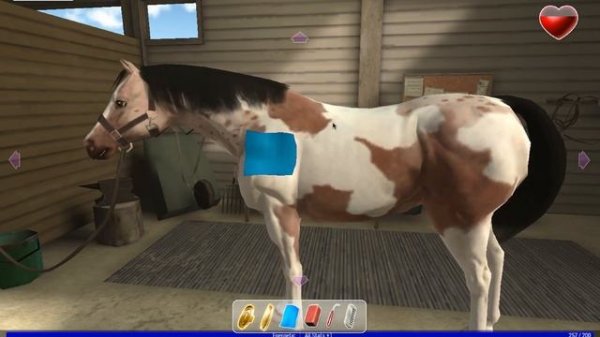 Riding Club Championships #1 (Riding Club Championships)