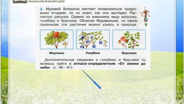 Задание 3 Тундра - Окружающий мир 4 класс (Плешаков А.А.) 1 часть смотреть онлайн