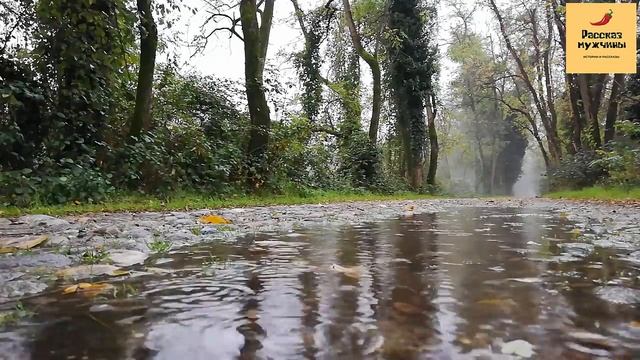 Рассказ мужчины | Измена жены. Нужно ли мстить любовнику... смотреть онлайн