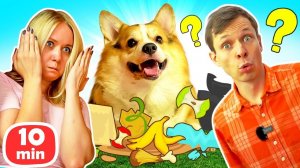 Игры с корги — Выносим мусор и играем в прятки! Смешное видео для детей