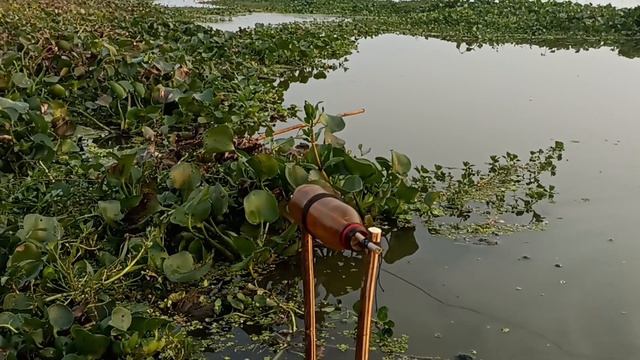 I Have Never Caught Such A Big Fish Alone.I Caught Such A Big Fish From The River Alone|Fishingvide смотреть онлайн