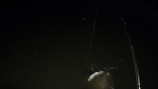 ВЫ ВИДЕЛИ !! КАК РАК ЛОВИТ РЫБУ ??? смотреть онлайн