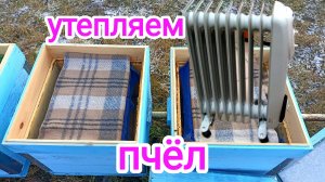 Утепление для пчёл, зимующих на улице! ПЧЕЛОВОДСТВО!