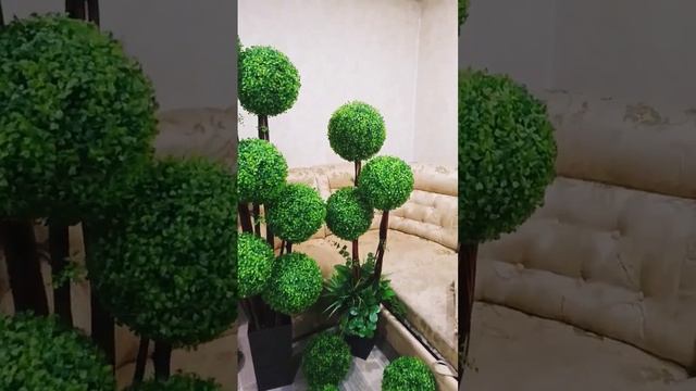 Искусственные самшитовые деревья для дома и улицы смотреть онлайн