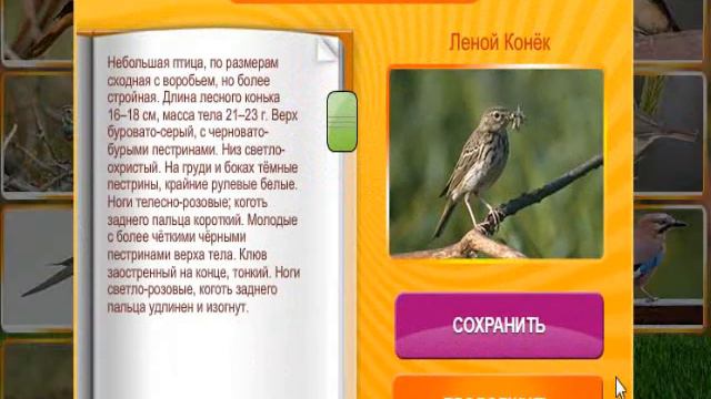 В мире животных. Ответ на 51, 52, 53, 54, 55 уровне. смотреть онлайн