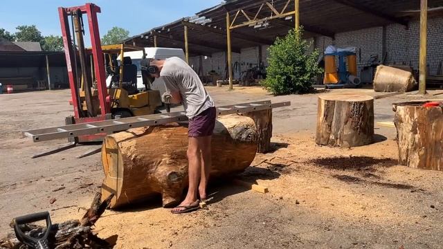 Surprise in the oak смотреть онлайн