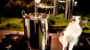 Обзор нового самогонного аппарата Финляндия