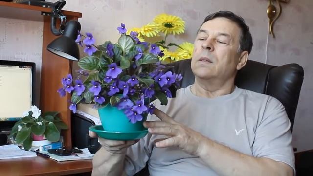 Поздравления с Пасхой смотреть онлайн