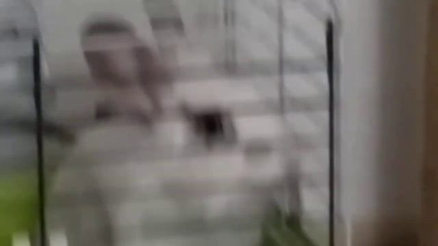 У кролика стресс смотреть онлайн