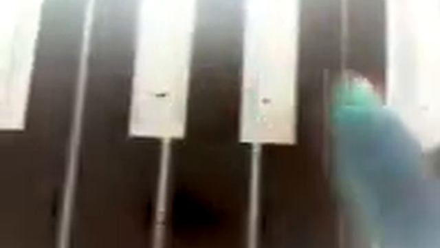 Dima Bilan-Kak romeo-on keyboard смотреть онлайн