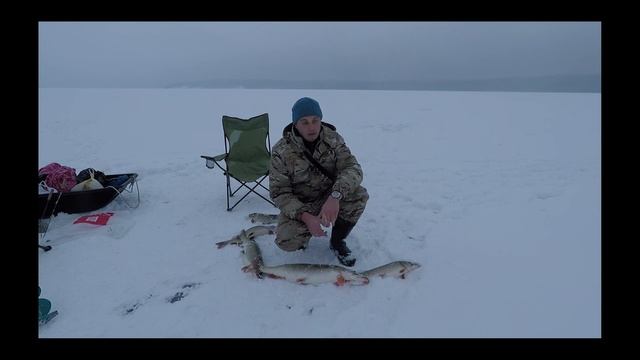 Тонкости ловли по клипу Клев крупной щуки 25 12 2018 смотреть онлайн