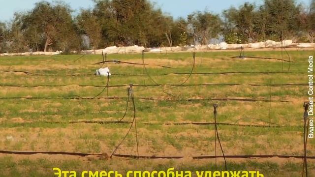 Теперь земля в пустыне станет плодородной | InfoResist смотреть онлайн