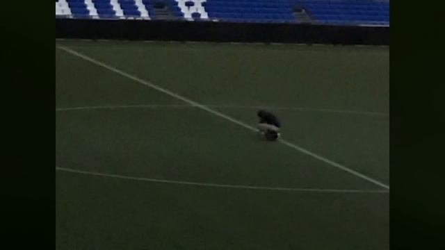 10 najbardziej szalonych kibiców na świecie смотреть онлайн