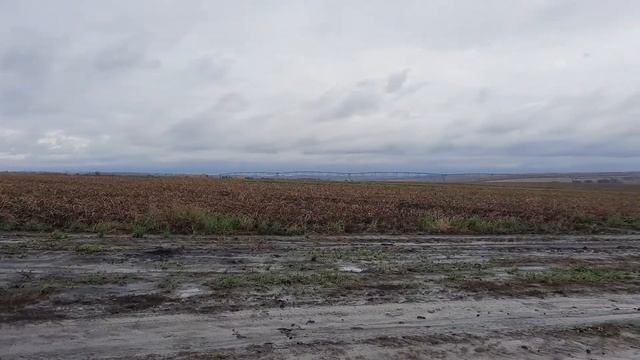 Мираторг корпорация зла. смотреть онлайн