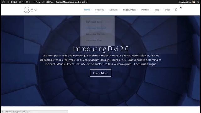 Divi Blank Page Template смотреть онлайн