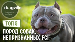 ТОП 5 Пород собак, непризнанных FCI