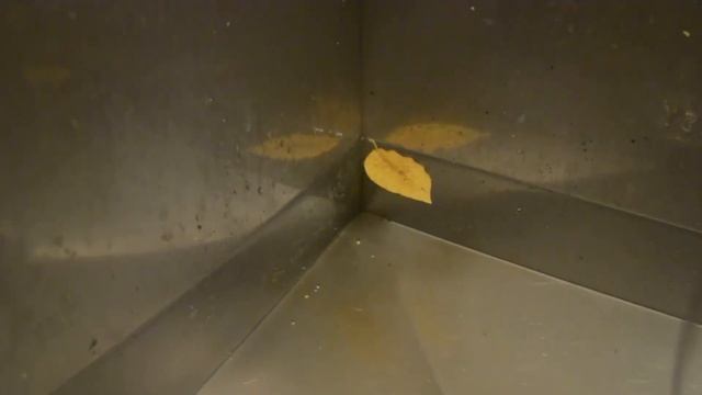 ПАРАДОКС ВОДЯНОГО ВИХРЯ Куда закручивается вода в разных полушариях Земли смотреть онлайн