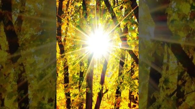 Стихотворения от Тронного Ангела смотреть онлайн