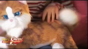 Интерактивная Кошка "Черри" от Giochi Preziosi