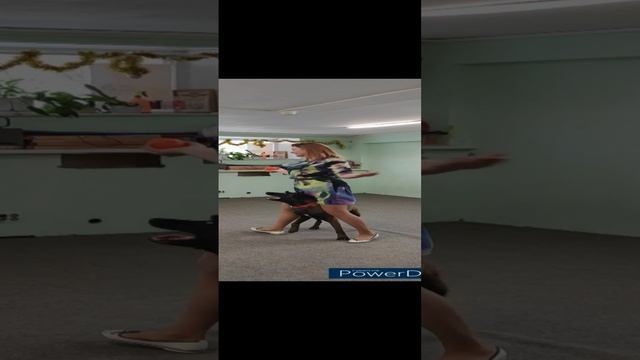 Чем занять собаку в праздники