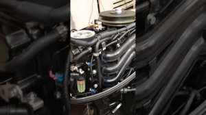 Проверка лодочного мотора ReefRider RREF30FEL-T