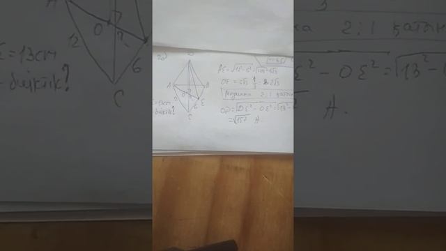 Апофема смотреть онлайн