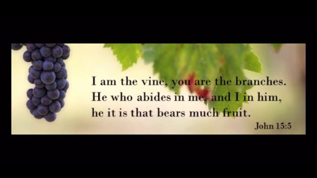 Rapture | State of the Church in the Wilderness смотреть онлайн