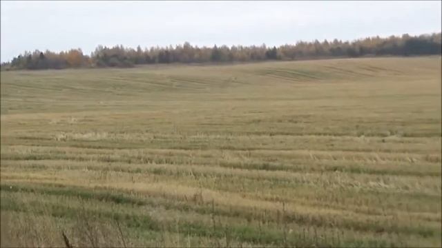 Осень...дорога...И мой стих про эту пору. смотреть онлайн