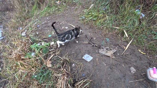 рыбалка в декабре на Кубани ловля карася на поплавок крупным планом смотреть онлайн