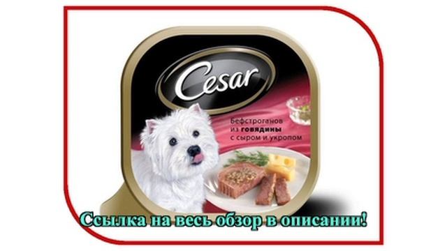 Корм Cesar Бефстроганов Говядина/Сыр/Укроп 100g для собак 10083319/10070129 смотреть онлайн